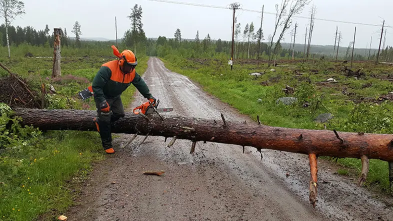 Detta hände under torsdagen