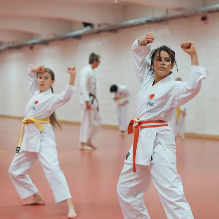 Luleå Energi Arena Puffbild Startsida