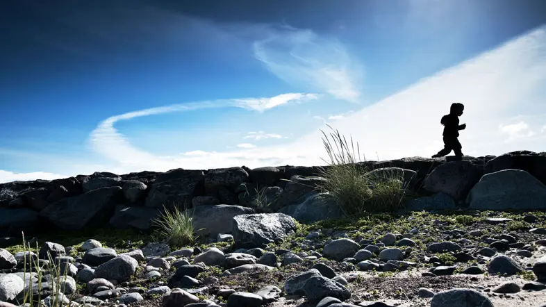 Års- och hållbarhetsredovisning