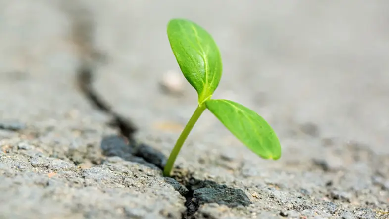 Torrt aprilväder stärkte elpriserna (1)