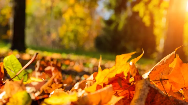 Minskade prisskillnader mellan elområden (1)