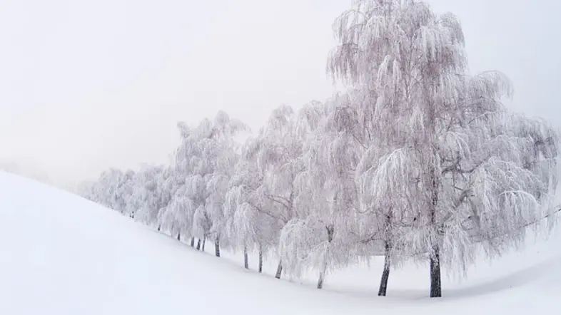 Skiftningar i elpriserna till följd av kallt väder