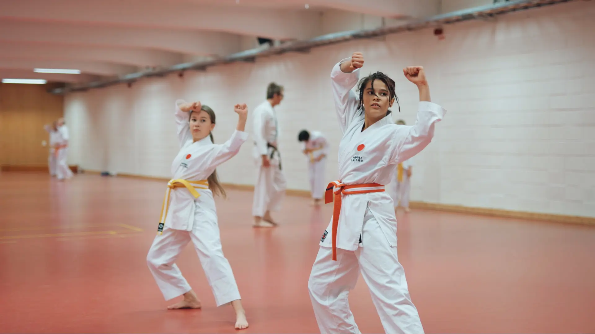 Karate 1920X1080 (0 00 50 02)