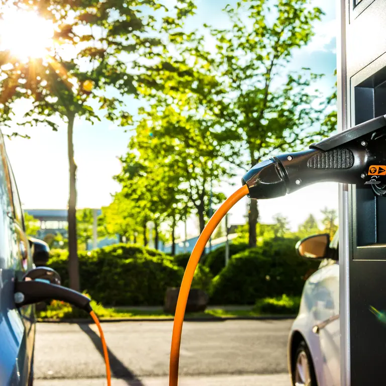 Shutterstock 1517572181