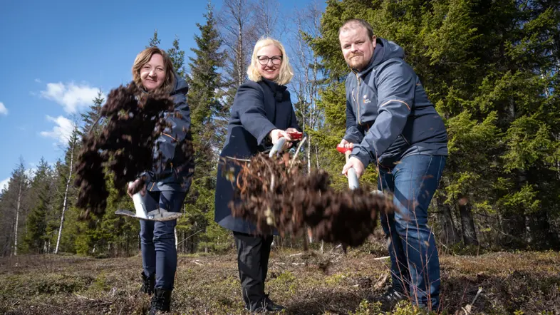 Luleå Energi Spadtag Web 9201