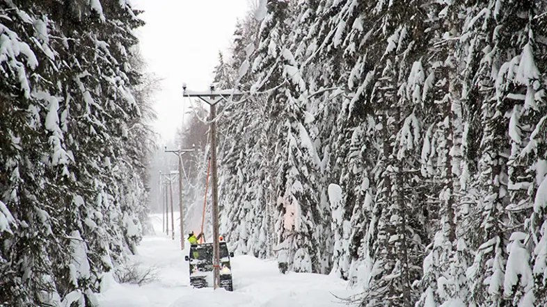 Varm kämpaglöd mot kall motståndare