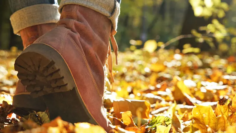 Kallt höstväder höjer elpriserna (1)